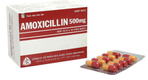Amoxicillin 500mg Mekophar